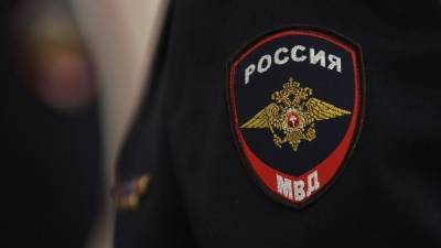 Александр Горовой - В МВД заявили о наказании за призывы к участию в несанкционированных митингах - 5-tv.ru - Россия