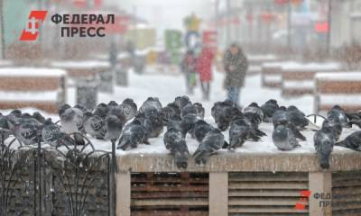 В регионах «тюменской матрешки» ожидают морозы до минус 50 - fedpress.ru - Тюмень - Тюменская обл. - Югра