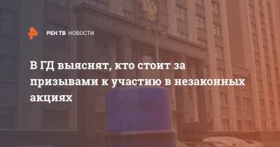 Василий Пискарев - В ГД выяснят, кто стоит за призывами к участию в незаконных акциях - ren.tv - Москва
