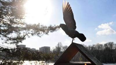 Роман Вильфанд - В Гидрометцентре сообщили, что россиянам надо привыкнуть к аномальной погоде - gazeta.ru