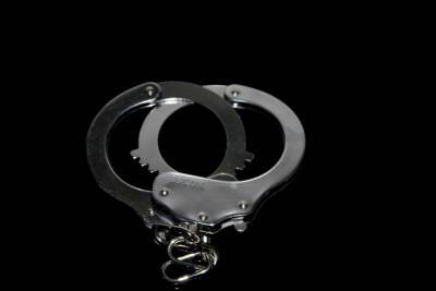 16-летнего подростка из Сочи подозревают в насилии над 14-летней девочкой - kuban.mk.ru - Сочи