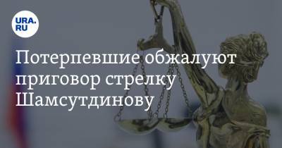 Рамиль Шамсутдинов - Потерпевшие обжалуют приговор стрелку Шамсутдинову - ura.news
