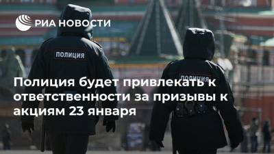 Александр Горовой - Полиция будет привлекать к ответственности за призывы к акциям 23 января - ria.ru - Москва - Россия