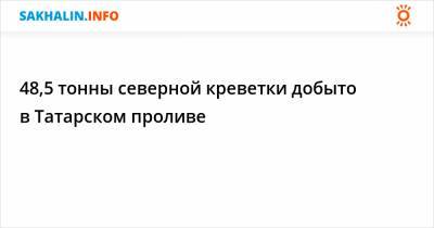 48,5 тонны северной креветки добыто в Татарском проливе - sakhalin.info - Сахалинская обл.
