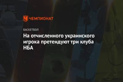 Алексей Лень - На отчисленного украинского игрока претендуют три клуба НБА - championat.com