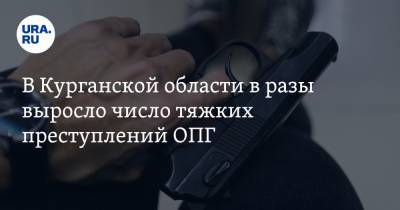 В Курганской области в разы выросло число тяжких преступлений ОПГ - ura.news - Курганская обл.