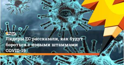 Лидеры ЕС рассказали, как будут бороться с новыми штаммами COVID-19 - ridus.ru - Англия - Бельгия - Бразилия - Голландия - Юар