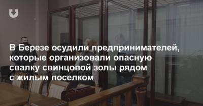 В Березе осудили предпринимателей, которые организовали опасную свалку свинцовой золы рядом с жилым поселком - news.tut.by - район Березовский - район Ивацевичский