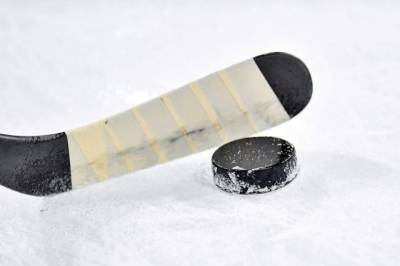 Рене Фазель - Совет IIHF выберет место для проведения ЧМ-2021 по хоккею 26 или 27 января - aif.ru - Белоруссия - Рига - Минск - Братислава