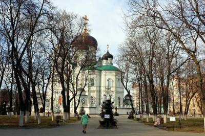 Большинство воронежцев против установки скандального памятника Аленке в городе - temavoronezh.ru - Воронеж - Черноземье