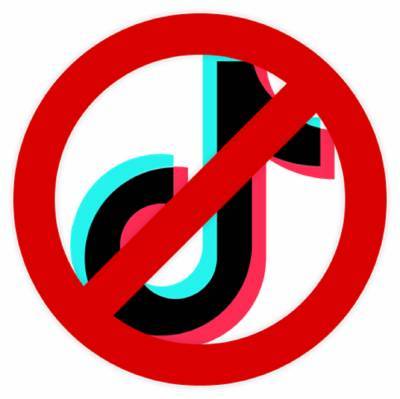 В России предложили запретить TikTok - astrakhanfm.ru - Белоруссия