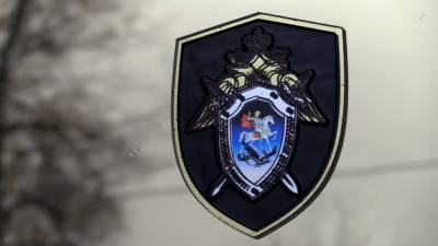 Владимир Путин - СК проводит проверку поступивших в ходе пресс-конференции обращений россиян к президенту - politros.com - Мурманская обл.