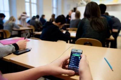 Ярославские власти сами провоцируют интерес студентов к протестным митингам - yar.mk.ru - Ярославская обл. - Ярославль