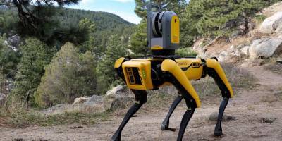 "Сбер" приобрел у Boston Dynamics робота-собаку стоимостью 74,5 тысячи долларов - ruposters.ru - Boston