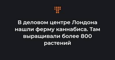 В деловом центре Лондона нашли ферму каннабиса. Там выращивали более 800 растений - hromadske.ua - Англия - Лондон
