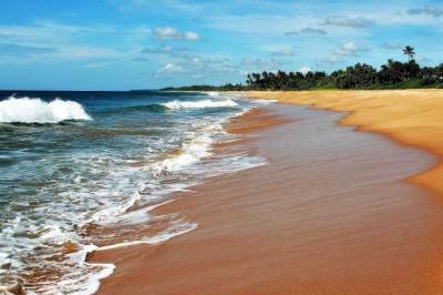 В Шри-Ланке открыли границы для иностранных туристов - aif.ru - Шри Ланка