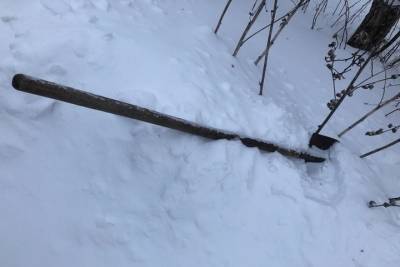 Тамбовчанина подозревают в применении насилия в отношении участкового полиции - tambov.mk.ru - Тамбовская обл.