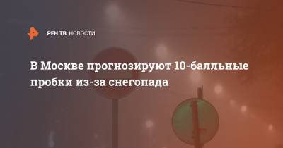 В Москве прогнозируют 10-балльные пробки из-за снегопада - ren.tv - Москва