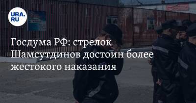 Рамиль Шамсутдинов - Госдума РФ: стрелок Шамсутдинов достоин более жестокого наказания - ura.news