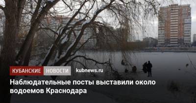 Наблюдательные посты выставили около водоемов Краснодара - kubnews.ru - Краснодар