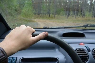 У любителя марихуаны из Великих Лук отобрали водительские права - mk-pskov.ru - Псков - Великие Луки