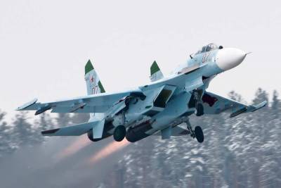 В Индии российские МиГ-29 и Су-30 «расправились» с американскими F-21 - actualnews.org - США - Вашингтон - Нью-Дели