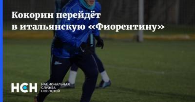 Александр Кокорин - Кокорин перейдёт в итальянскую «Фиорентину» - nsn.fm - Москва - Италия