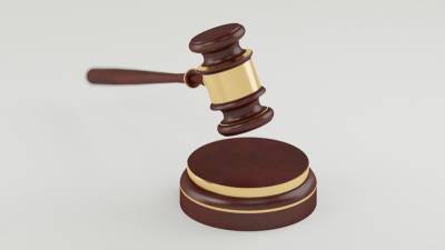 Москвичка получила полгода исправительных работ за фейк о коронавирусе - nation-news.ru - Москва