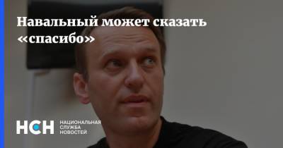 Алексей Навальный - Александр Горовой - Навальный может сказать «спасибо» - nsn.fm
