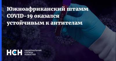Южноафриканский штамм COVID-19 оказался устойчивым к антителам - nsn.fm - Юар