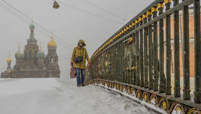 Алексей Навальный - Александр Бельский - Рассылка против митинга, свободные койки и ФСБ в госпитале: Петербург 21 января - dp.ru - Санкт-Петербург