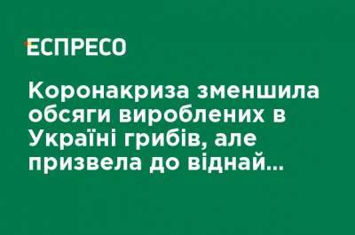 Коронакризис уменьшил объемы произведенных в Украине грибов, но привел к нахождению новых рынков сбыта, - эксперт - ru.espreso.tv - Молдавия