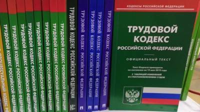 Аглая Чайковская - Госдума внесла изменения в ТК РФ для родителей с детьми младше 14-ти лет - politros.com