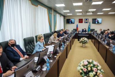 Депутаты окончательно утвердили продление сроков ежемесячной выплаты многодетным - sakhalin.info - Сахалинская обл.