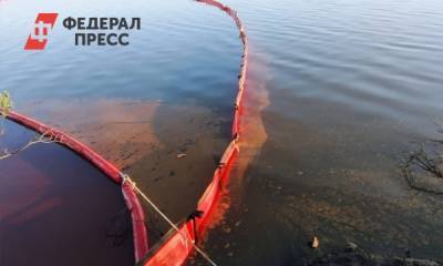 Суд рассмотрит иск Росприроднадзора к «Норникелю» - fedpress.ru - Красноярский край - Норильск