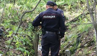 В Петрозаводске на пляже нашли женщину без лица: история преступления, которое полиция могла предотвратить - gubdaily.ru - Петрозаводск - Беломорск - республика Карелия