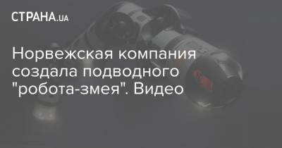 Норвежская компания создала подводного "робота-змея". Видео - strana.ua - Норвегия