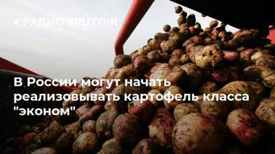 Михаил Глушков - В России могут начать реализовывать картофель класса "эконом" - smartmoney.one - Россия