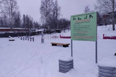 В Петрозаводске появилась первая площадка для выгула и дрессировки собак - karel.mk.ru - Петрозаводск