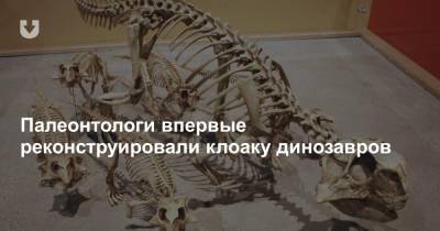 Палеонтологи впервые реконструировали клоаку динозавров - news.tut.by