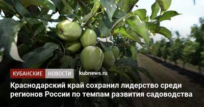 Андрей Коробка - Краснодарский край сохранил лидерство среди регионов России по темпам развития садоводства - kubnews.ru - Краснодарский край