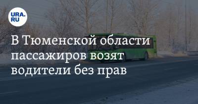 В Тюменской области пассажиров возят водители без прав - ura.news - Тюменская обл. - Заводоуковск