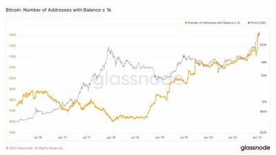 Число китов с активами более 1000 BTC достигло 2400 - bin.ua