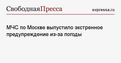 МЧС по Москве выпустило экстренное предупреждение из-за погоды - svpressa.ru - Москва