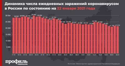 В России выявили 21513 новых случаев COVID-19 за последние сутки - profile.ru - Москва - Санкт-Петербург - Московская обл.