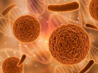 Смертельные бактерии обмениваются данными об антибиотиках - techno.bigmir.net - Швеция