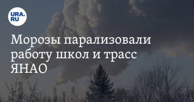 Морозы парализовали работу школ и трасс ЯНАО - ura.news - Салехард - окр. Янао