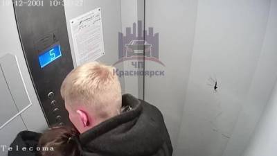 Видео: Нежности российской пары в лифте переросли в жестокую драку - piter.tv - Санкт-Петербург - Красноярск