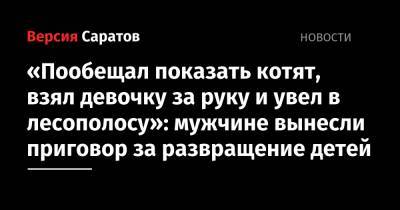 «Пообещал показать котят, взял девочку за руку и увел в лесополосу»: мужчине вынесли приговор за развращение детей - nversia.ru - Саратов