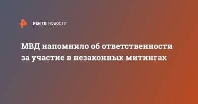 МВД напомнило об ответственности за участие в незаконных митингах - ren.tv - Москва